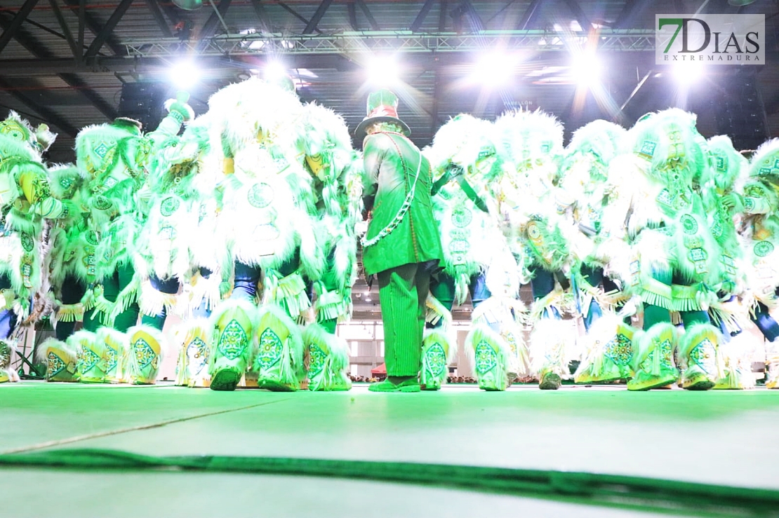 Imágenes que deja la entrega de premios del Carnaval de Badajoz