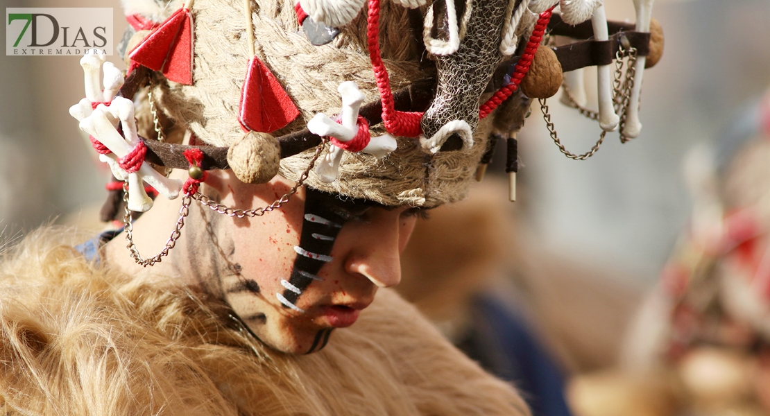 Disfruta de los mejores primeros planos del gran desfile del carnaval 2023