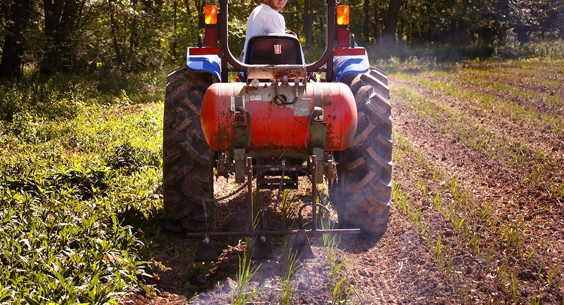 16.542 agricultores extremeños reciben ayudas por la subida del precio de los fertilizantes