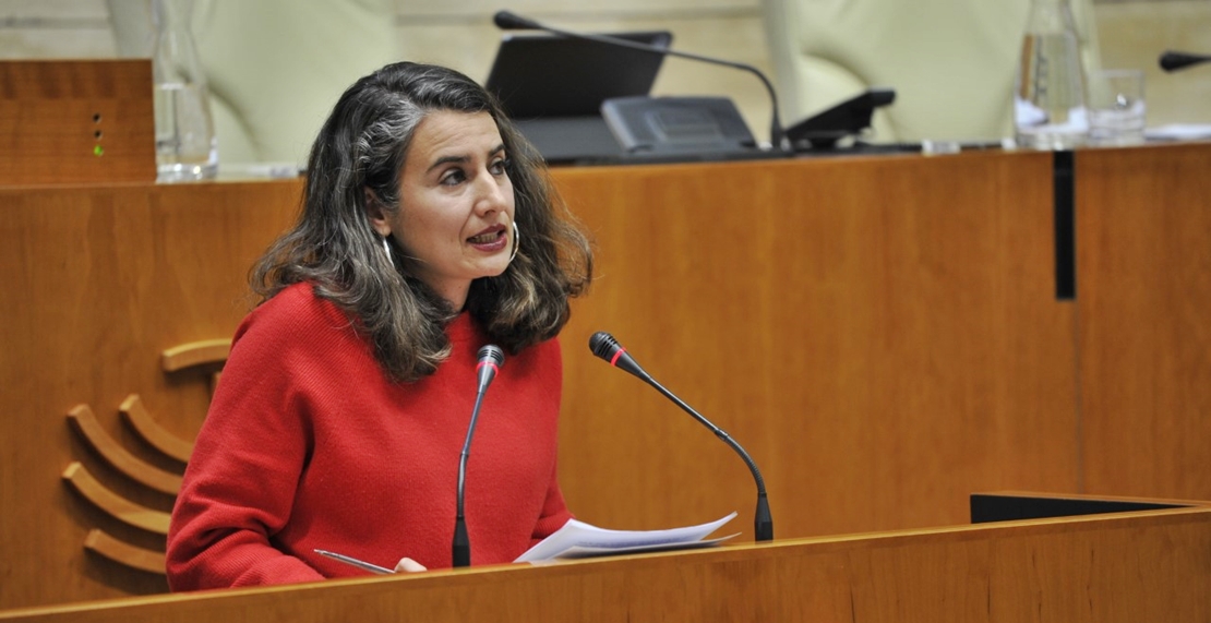 De Miguel: “Las privatizaciones del agua han demostrado graves deficiencias”