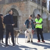 Manifestación contra la caza en Cáceres: &quot;Ni galgos ni podencos son vuestros instrumentos&quot;