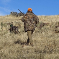 Ya hay fecha para el sorteo de la oferta pública de caza en Extremadura