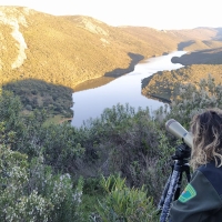 La Junta tiene una última oportunidad para evitar una huelga de Agentes del Medio Natural