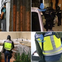 18 detenidos del grupo criminal de Almendralejo: armas, drogas y 100.000 € en efectivo