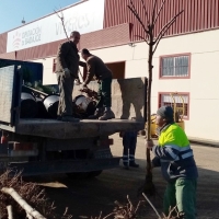 El Vivero Provincial inicia la campaña de invierno