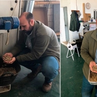 Un investigador estudia en Extremadura el potencial de restos de poda