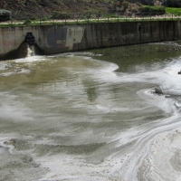 PSOE: “Otro verano más con olores en el Rivillas”