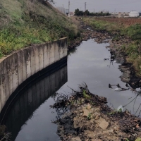 Denuncian el “calamitoso estado” de los arroyos de Almendralejo