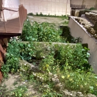 PSOE: “Hay seis socavones municipales que acumulan meses de retrasos en Badajoz”