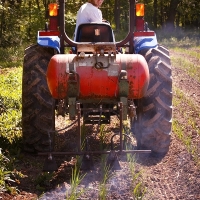 16.542 agricultores extremeños reciben ayudas por la subida del precio de los fertilizantes