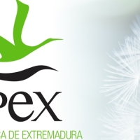 EMPLEO: ofertan tres plazas de informática en Extremadura