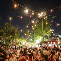 4 motivos por los que las verbenas no deberían desaparecer