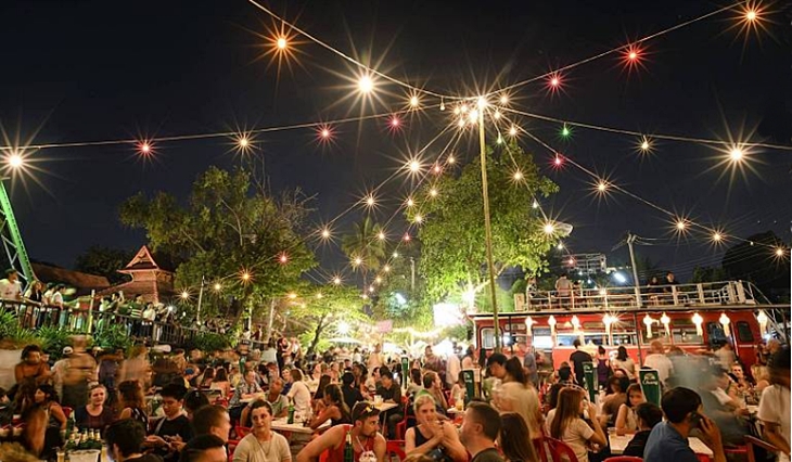 4 motivos por los que las verbenas no deberían desaparecer