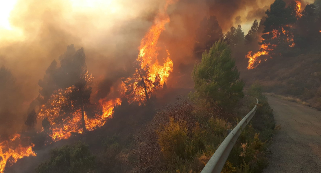 Primer gran incendio del año: casi 2.000 desalojados