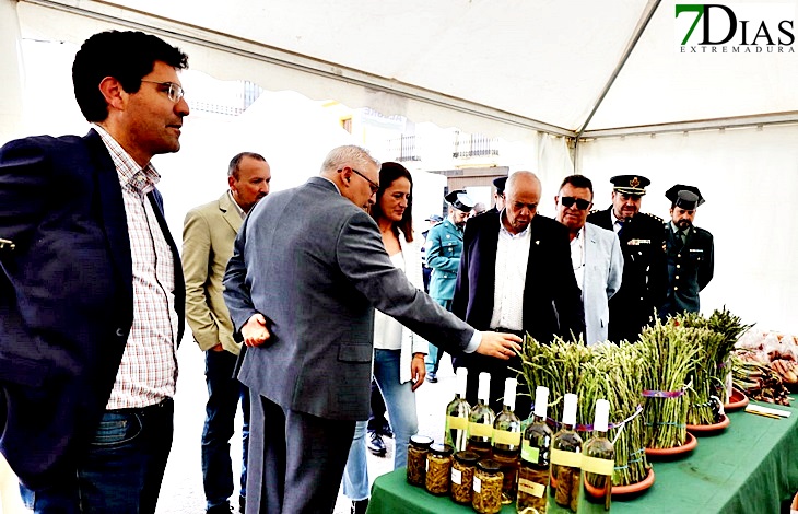 Alconchel celebra la X edición de la Feria del Espárrago y la Tagarnina