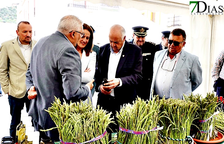 Alconchel celebra la X edición de la Feria del Espárrago y la Tagarnina