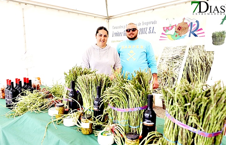 Alconchel celebra la X edición de la Feria del Espárrago y la Tagarnina