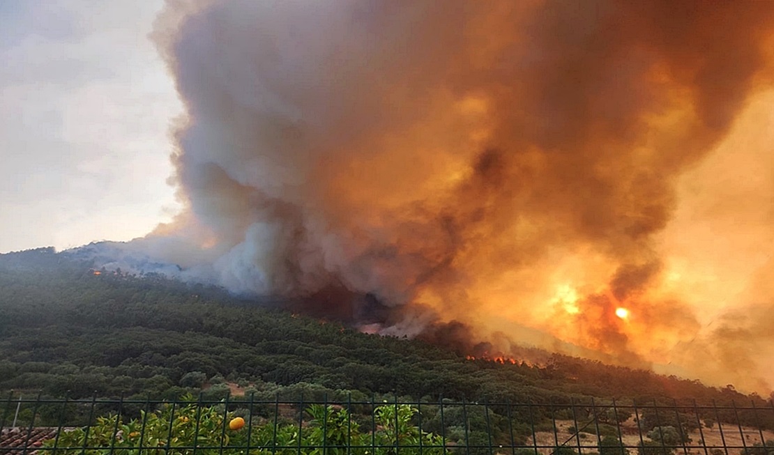 Reunión del patronato de Monfragüe con la memoria puesta en el último y grave incendio