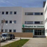 Trasladada hasta el Hospital tras ser atropellada en Azuaga