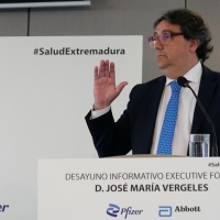 Vergeles pide reparar y hacer más resistente al Sistema Nacional de Salud tras la pandemia