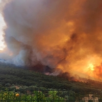 Reunión del patronato de Monfragüe con la memoria puesta en el último y grave incendio