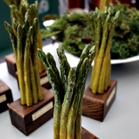 La Feria del Espárrago y la Tagarnina aspira a ser declarada Fiesta de Interés Turístico Regional