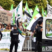 Salva tu Tierra califica de "tortuosa tramitación" el expediente del macrovertedero por parte de la Junta