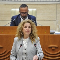 CS consigue sacar adelante medidas para fomentar el acogimiento familiar en la región