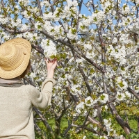 Este lunes comienza oficialmente la primavera