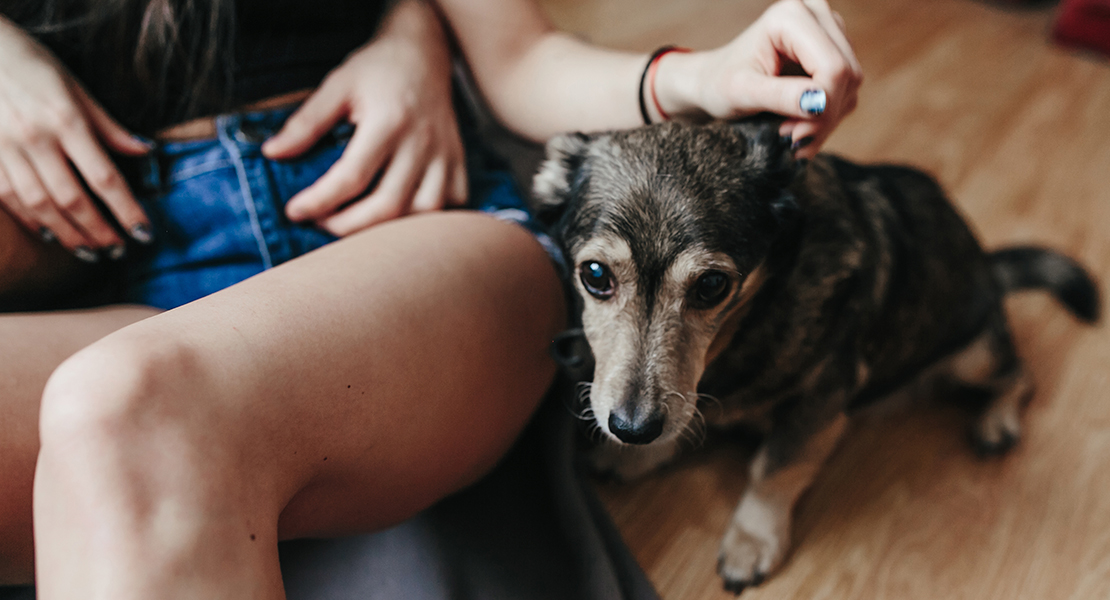 Por qué convivir con un animal es bueno para la salud