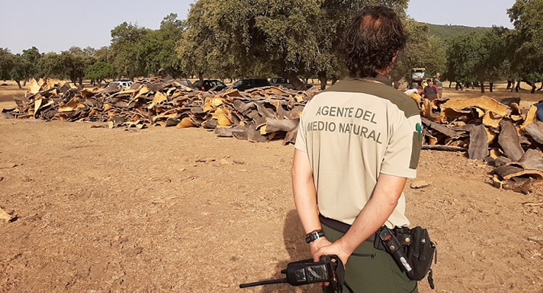 Reformarán y construirán edificios para los Agentes del Medio Natural en Extremadura