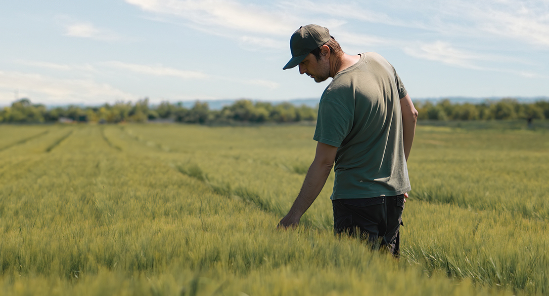 El anticiclón de la pasada semana provoca daños en producciones agrícolas de varias regiones