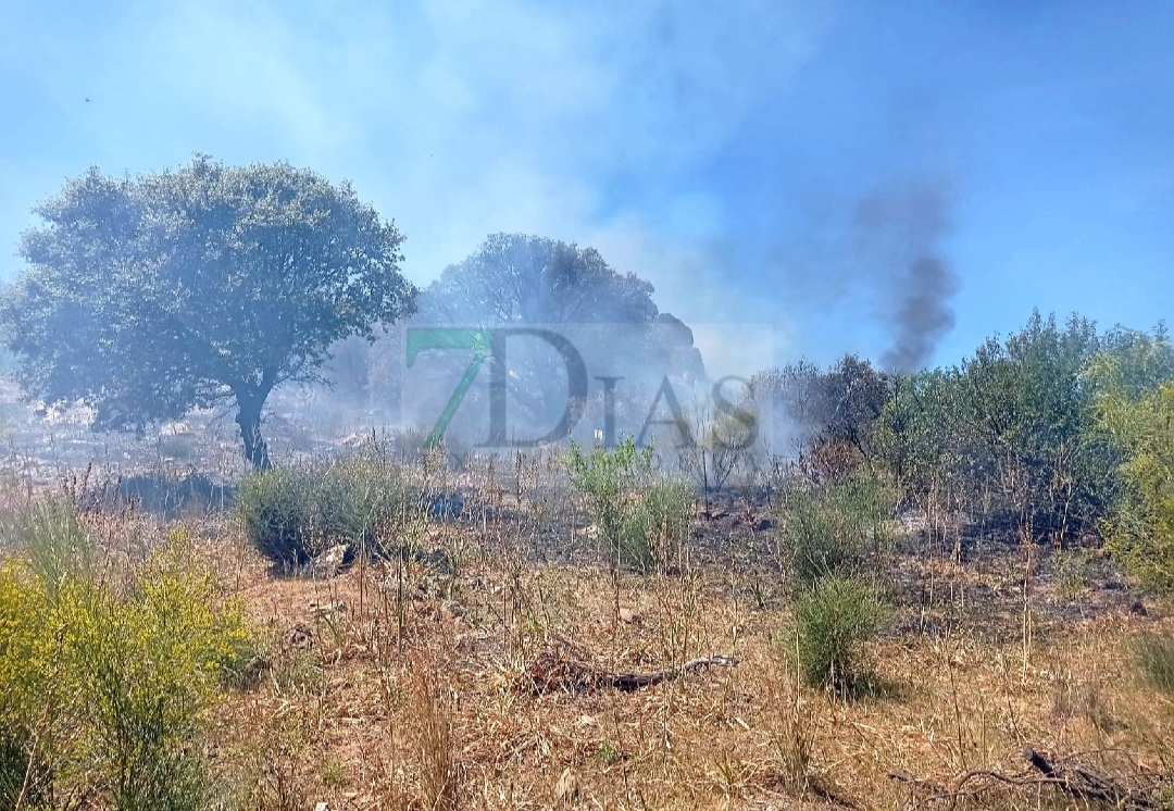 Amplio dispositivo de emergencia para extinguir un incendio en Santa Marta (BA)