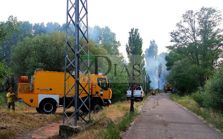 Un amplio dispositivo lucha contra un incendio activo en Plasencia