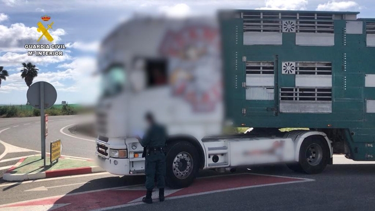 Varios detenidos en Extremadura vinculados con un matadero industrial