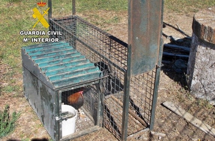 Investigado por utilizar una jaula trampa en una finca extremeña