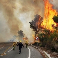 Plan Especial de Protección Civil ante Incendios Forestales de Extremadura