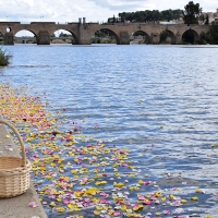 Unión Romaní aclara cuál es el Día Internacional del Pueblo Gitano