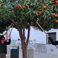 Ayudas para proyectos que beneficiarán a casi 1.500 personas en Extremadura