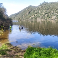 Actuaciones de retirada de azolla en el Parque Natural del Tajo Internacional