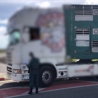 Varios detenidos en Extremadura vinculados con un matadero industrial