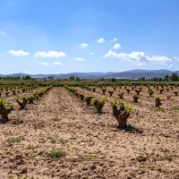 La sequía ahoga al campo: Extremadura una de las CCAA más afectadas