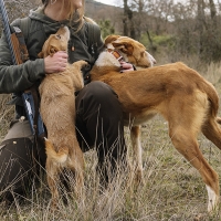 Los cazadores extremeños hacen varias peticiones a los políticos