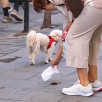 El Ayto. de Badajoz te multará con 800 euros si no recoges los excrementos de tu perro