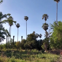 La plataforma &#39;Salvar el Parque Ascensión&#39; continúa en su lucha