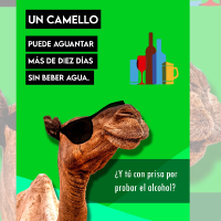 Don Benito previene el consumo de alcohol entre los menores