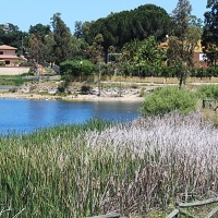Más de 2.000 emeritenses sin agua desde hace 20 años