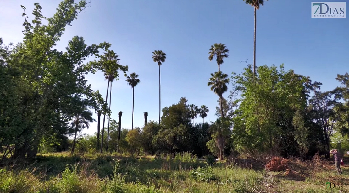 La plataforma &#39;Salvar el parque Ascensión&#39; continúa en su lucha