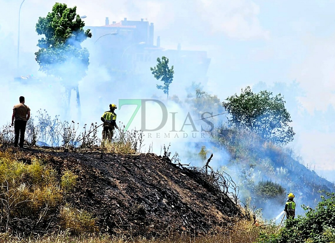 Los bomberos trabajan en un incendio forestal en la avda. Gabriel y Galán de Plasencia