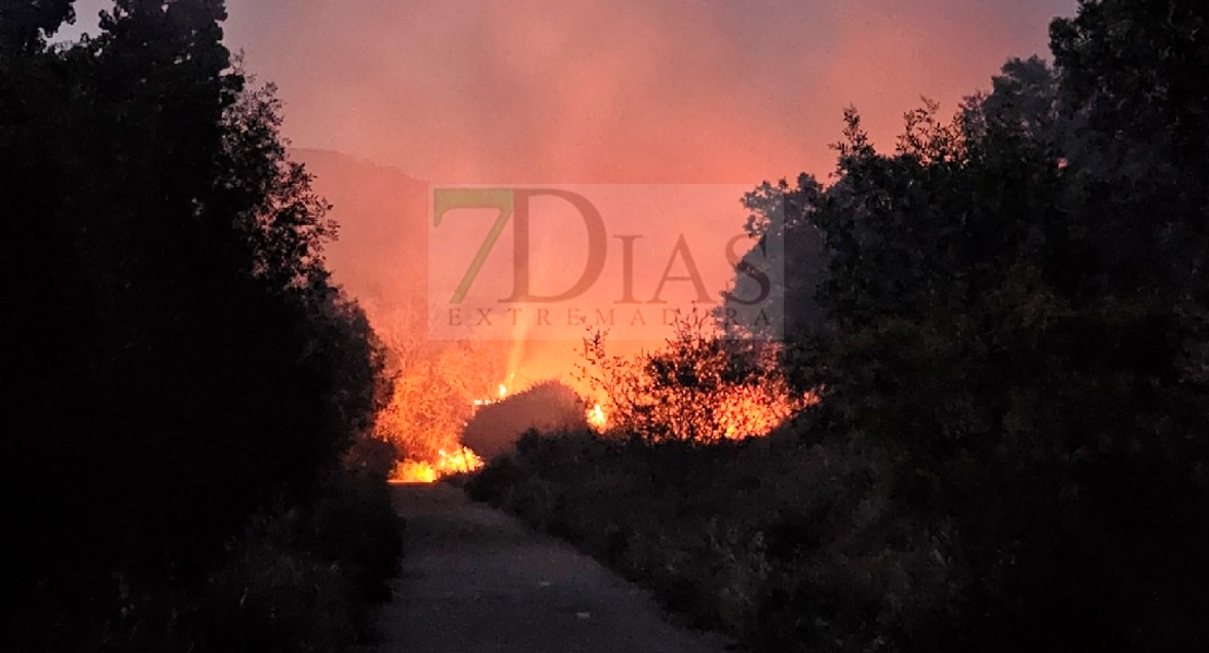 Un amplio dispositivo trabaja en un incendio en el Valle del Jerte